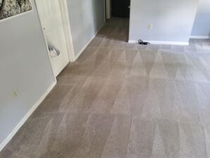 Before and After Carpet Cleaning Services in New Bedford, MA (2)