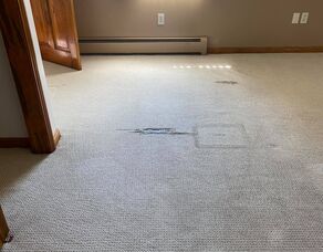 Residential Carpet Cleaning in Bridgewater, MA (6)