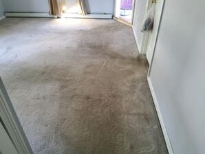 Residential Carpet Cleaning in Bridgewater, MA (1)
