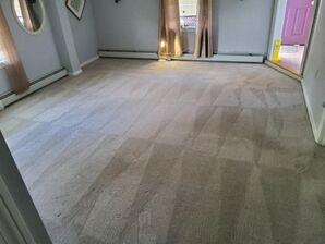 Residential Carpet Cleaning in Bridgewater, MA (2)