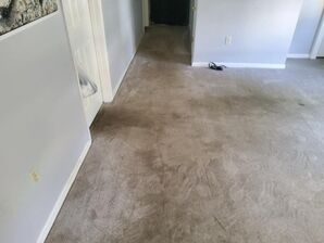 Before and After Carpet Cleaning Services in New Bedford, MA (1)