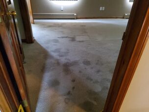 Residential Carpet Cleaning in Bridgewater, MA (5)
