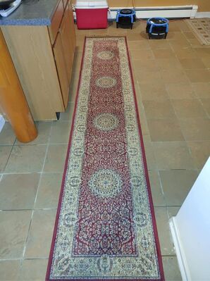 Rug Cleaning in Fall River, MA (2)