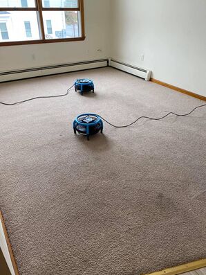 Before & After Carpet Cleaning in Fall River, MA (1)