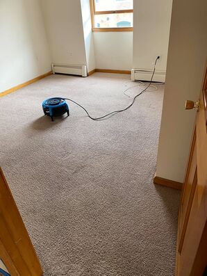 Before & After Carpet Cleaning in Fall River, MA (3)