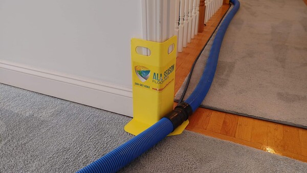 Carpet Cleaning Services in Taunton, MA (3)