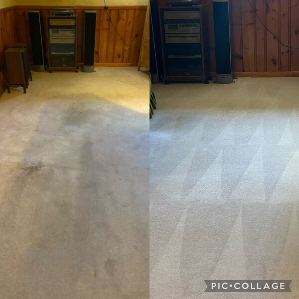 Before & After Carpet Cleaning in New Bedford, MA (1)