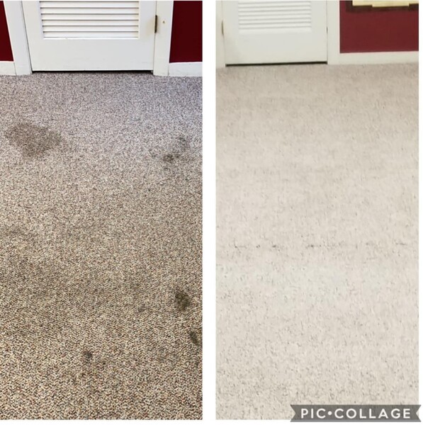 Before & After Carpet Cleaning in Swansea, MA (1)
