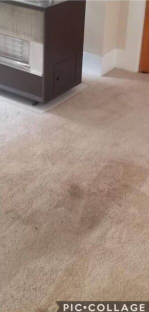 Before & After Carpet Cleaning in Fall River, MA (1)