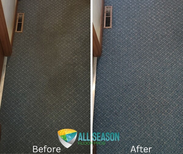 Carpet Cleaning Services in South Dartmouth, MA (1)