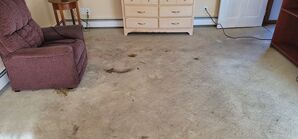 Carpet Cleaning Services in Fall River, MA (3)