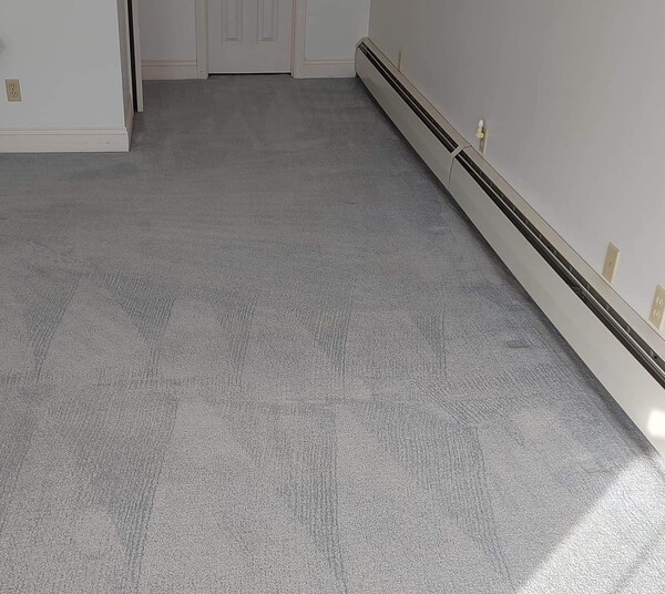 Carpet Cleaning Services in New Bedford, MA (1)